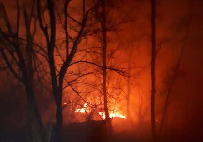 162045492 1270761703317688 8325911091951497224 o