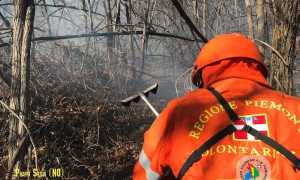 163996425 1275126779547847 2533523933184993611 o