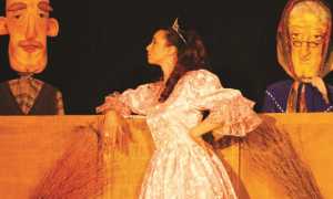 27 luglio il gatto con