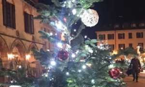 Arona Natale