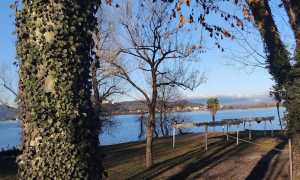 Arona zona lido