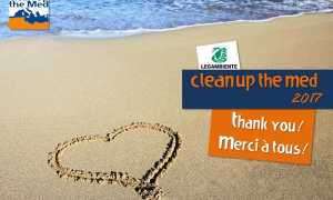 Clean up the Med 2