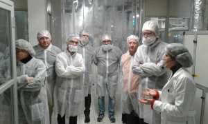 Diaziendainazienda Laica Lucia Saini