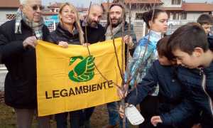 Festa dellAlbero 1 a Dormelletto