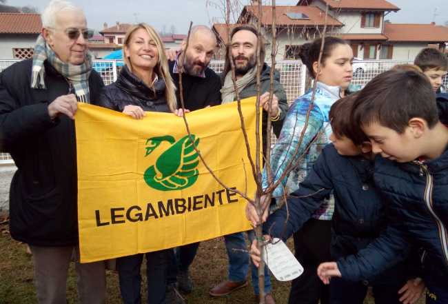 Festa dellAlbero 1 a Dormelletto