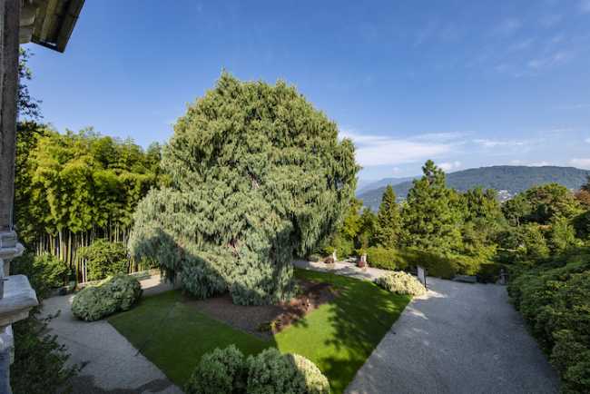 IsolaMadre Loggia del Cashmir