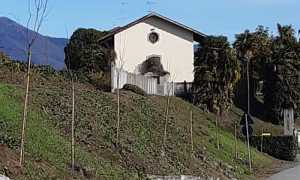 Lesa piante via Diana