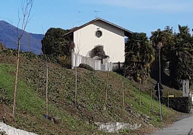 Lesa piante via Diana