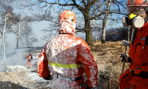 Schermata 2021 03 20 alle 09.39.57