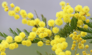 Schermata 2021 04 17 alle 11.14.03