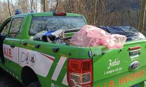 aib invorio gg ecologica 25