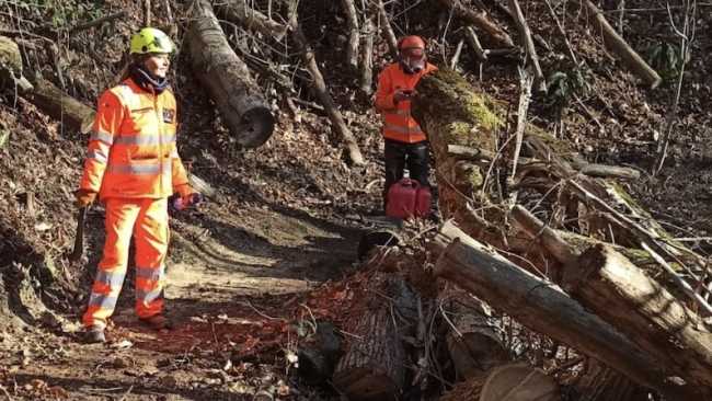 aib invorio pul feb 25