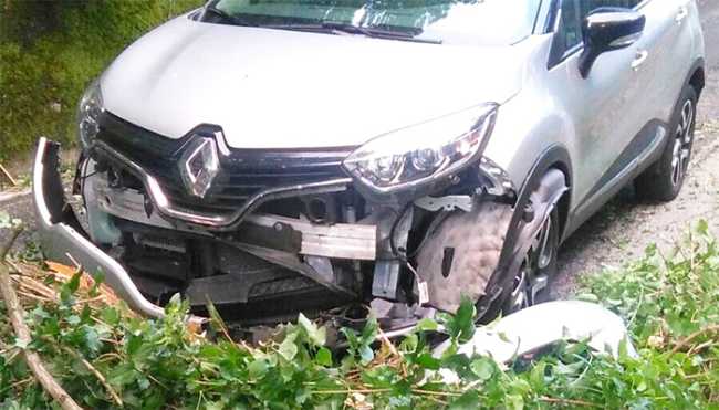 albero auto meina giu 17