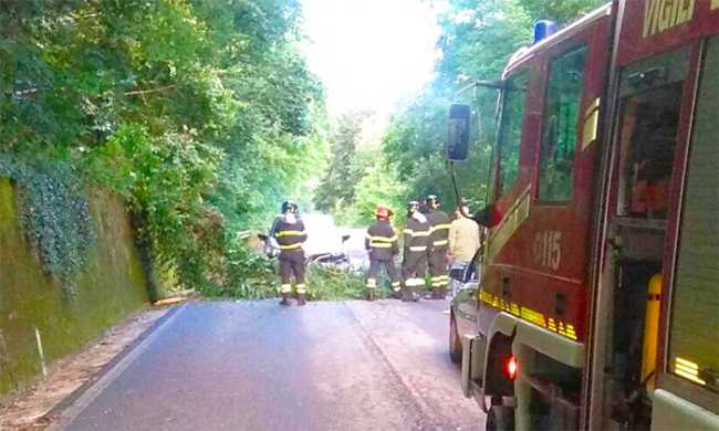 albero strada auto meina giu 17