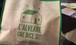 alveare foto