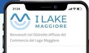 app distretto commercio lago maggiore