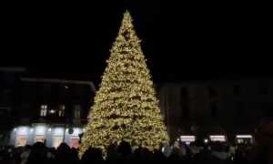 arona acceso albero di Natale