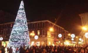 arona albero natale luci