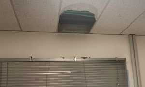 arona asilo soffitto