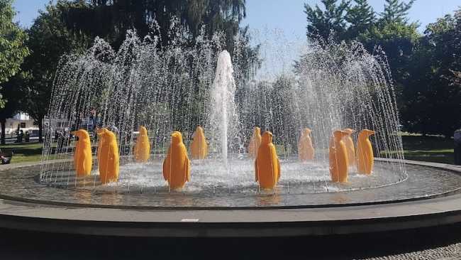 arona cracking pinguini