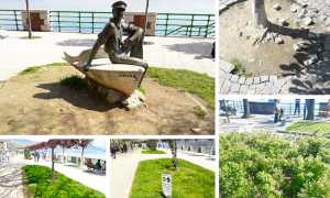 arona mix lungolago aiuole