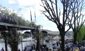 arona pasquetta
