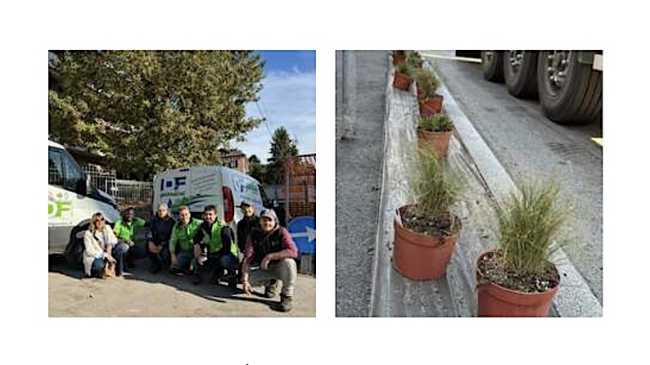 arona piantumaz nov 24