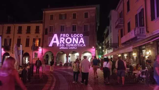 arona rosa 2