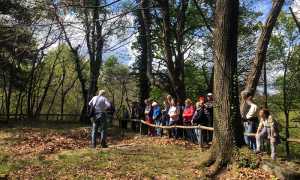 avventure Gasma arona