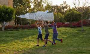 bambini giocare prato