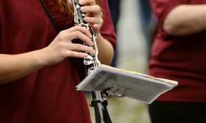 banda musicale