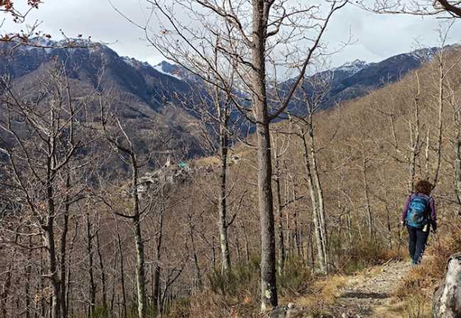 bassa val bogonanco sentiero gita