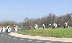 borgo ticino gg ecologica