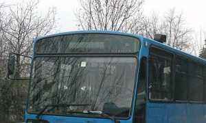 bus foto
