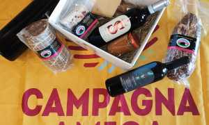 campagna amica patrone