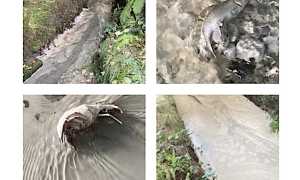 castelletto sversamento set 25