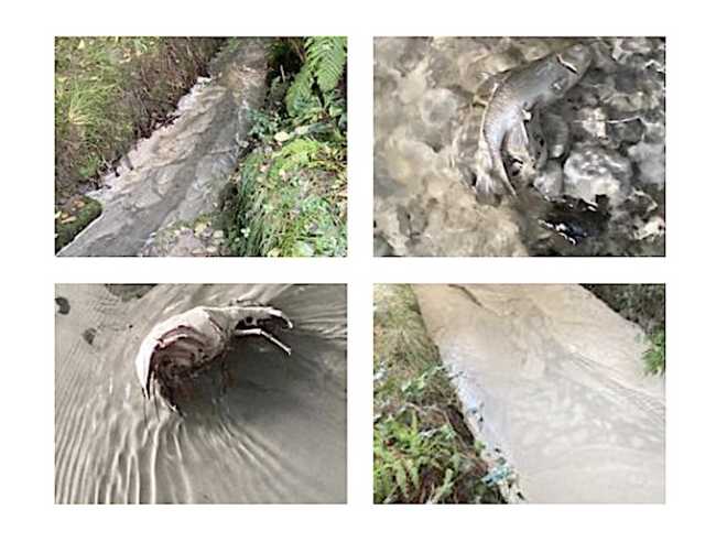 castelletto sversamento set 25