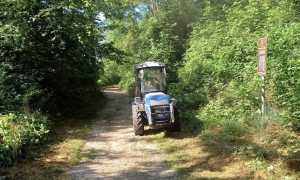castelletto ticino manutenzione parco giu 25