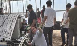 cavallini lesa ricostruzione serra