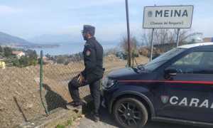 cc forestali lesa a meina