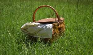 cestino pic nic