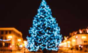 christmas 2618458 960 720