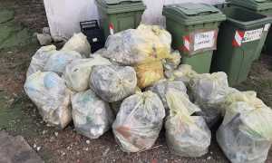 comignago raccolta gg ecologica