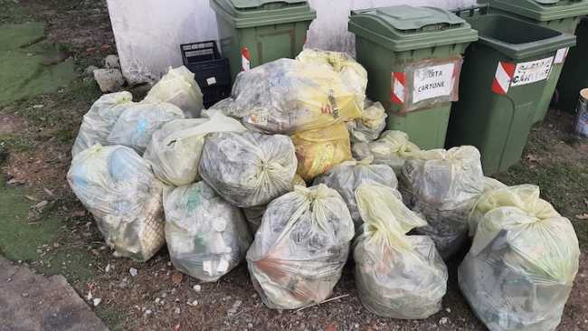 comignago raccolta gg ecologica