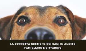 conferenza cani arona