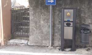 dog toilet paruzzaro