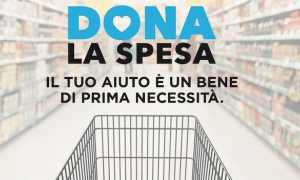 dona spesa animali