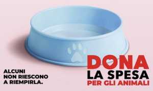 dona spesa animali lug 25