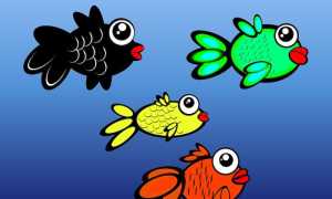 fish tank 260707 960 720