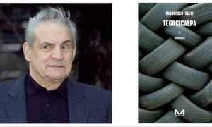 francesco salvi arona